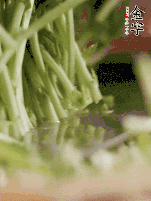 新鮮豌豆苗割下洗凈。